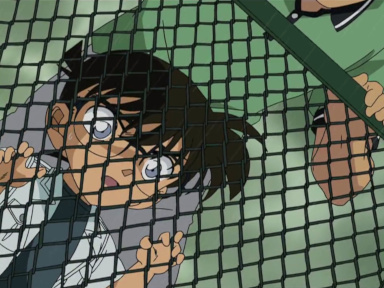 Episode 435